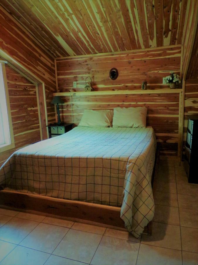 Cedar Cabin Located On A Buffalo Farm Marshall Ngoại thất bức ảnh